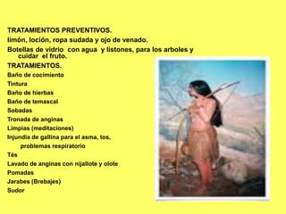 TRATAMIENTOS PREVENTIVOS.
limón, loción, ropa sudada y ojo de venado.
Botellas de vidrio con agua y listones, para los arboles y
cuidar el fruto.
TRATAMIENTOS.
Baño de cocimiento
Tintura
Baño de hierbas
Baño de temascal
Sobadas
Tronada de anginas
Limpias (meditaciones)
Injundia de gallina para el asma, tos,
problemas respiratorio
Tés
Lavado de anginas con nijallote y olote
Pomadas
Jarabes (Brebajes)
Sudor
 