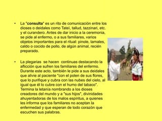 • La "consulta" es un rito de comunicación entre los
dioses o deidales como Tateì, tallud, tazzinari, etc.
y el curandero. Antes de dar inicio a la ceremonia,
se pide al enfermo, o a sus familiares, varios
objetos importantes para el ritual: pinole, tamales,
caldo o cocido de pollo, de algún animal, recién
preparado.
• La plegarias se hacen continuas destacando la
aflicción que sufren los familiares del enfermo.
Durante este acto, también le pide a sus deidales
que alivie al paciente "con el polen de sus flores,
que lo purifique y cubra con las nubes del cielo, al
igual que él lo cubre con el humo del tabaco".
Termina la letanía nombrando a los dioses
creadores del mundo y a "sus hijos", divinidades
ahuyentadoras de los malos espíritus, a quienes
les informa que los familiares no aceptan la
enfermedad y que esperan de todo corazón que
escuchen sus palabras.
 