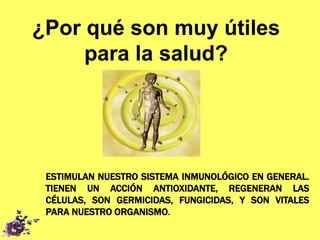 ESTIMULAN NUESTRO SISTEMA INMUNOLÓGICO EN GENERAL.
TIENEN UN ACCIÓN ANTIOXIDANTE, REGENERAN LAS
CÉLULAS, SON GERMICIDAS, FUNGICIDAS, Y SON VITALES
PARA NUESTRO ORGANISMO.
¿Por qué son muy útiles
para la salud?
 