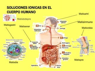 SOLUCIONES IONICAS EN EL
CUERPO HUMANO
Matisener
Matisinmuno
Matisartri
Matisgastri
Matisrelax
Matisdia
Matispre
Matisbidepre
 