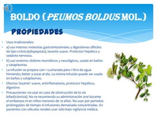 BOLDO (Peumos boldus Mol.)PropiedadesUsos tradicionales:a) uso interno: molestias gastrointestinales y digestiones difíciles de tipo crónico(dispepsias), laxante suave. Protector hepático y sedante nervioso.b) uso externo: dolores reumáticos y neurálgicos, usado en baños y cataplasmas.La infusión se prepara con 1 cucharada para 1 litro de agua hirviendo; beber 3 tazas al día. La misma infusión puede ser usada en baños y cataplasmas.Efectos: laxante1 suave, antinflamatorio, protector hepático, digestivoPrecauciones: no usar en caso de obstrucción de la vía biliar(ictericia). No se recomienda su administración oral durante el embarazo ni en niños menores de 10 años. No usar por periodos prolongados de tiempo ni infusiones demasiado concentradas. En pacientes con cálculos renales usar sólo bajo vigilancia médica. 