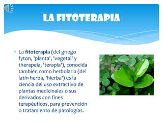 la fitoterapiaLa fitoterapia (del griego fyton, 'planta', 'vegetal' y therapeia, 'terapia'), conocida también como herbolaria (del latín herba, 'hierba') es la ciencia del uso extractivo de plantas medicinales o sus derivados con fines terapéuticos, para prevención o tratamiento de patologías.