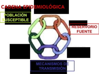 CADENA EPIDEMIOLÓGICA RESERVORIO FUENTE MECANISMOS DE TRANSMISIÓN POBLACIÓN SUSCEPTIBLE 