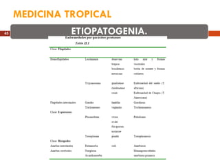 MEDICINA TROPICAL 