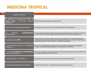 MEDICINA TROPICAL 