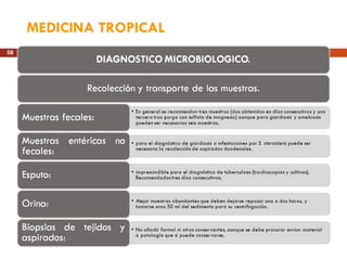MEDICINA TROPICAL 