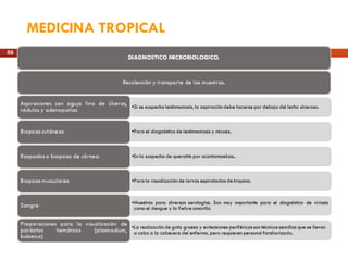MEDICINA TROPICAL 