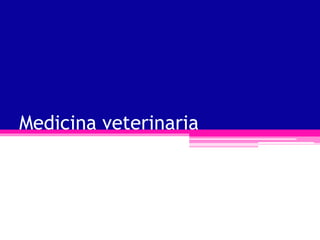 Medicina veterinaria
 