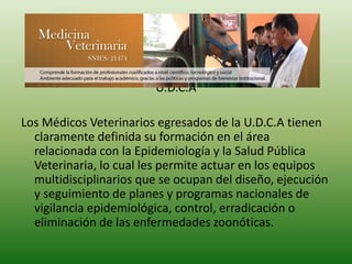 U.D.C.A
Los Médicos Veterinarios egresados de la U.D.C.A tienen
claramente definida su formación en el área
relacionada con la Epidemiología y la Salud Pública
Veterinaria, lo cual les permite actuar en los equipos
multidisciplinarios que se ocupan del diseño, ejecución
y seguimiento de planes y programas nacionales de
vigilancia epidemiológica, control, erradicación o
eliminación de las enfermedades zoonóticas.
 