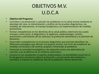 OBJETIVOS M.V.
U.D.C.A
• Objetivo del Programa
• Contribuir a la prevención y solución de problemas en la salud animal mediante el
abordaje del caso, la interpretación y análisis de las pruebas diagnósticas, las
medidas de intervención, el manejo terapéutico y la implementación de medidas
preventivas.
• Formar competencias en los dominios de la salud pública veterinaria las cuales
incluyen, entre otras, el diagnóstico, la vigilancia, epidemiología, control,
prevención y eliminación de las zoonosis, la protección alimentaria y la atención de
desastres.
• Desarrollar competencias en el proceso diagnóstico que permita identificar las
diferentes patologías que afectan a la especie animal, con el fin de establecer las
medidas correctivas o de control, propias e inherentes al problema.
• Fomentar la actividad investigativa y de extensión como una alternativa de
solución a los problemas de la medicina veterinaria.
• Inculcar en los estudiantes el espíritu ambientalista y la sensibilidad social con el
fin de generar conciencia sobre la protección y conservación del ambiente y
contribuir a mejorar la calidad de vida de la población menos favorecida.
 