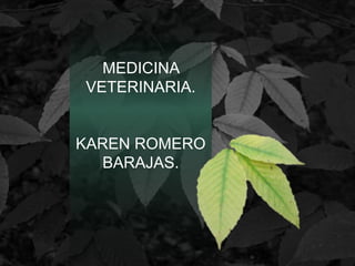 MEDICINA
VETERINARIA.
KAREN ROMERO
BARAJAS.
 