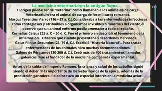 La medicina veterinaria en la antiguo Roma
El origen puede ser de “veterina” como llamaban a los animales de carga.
Veterinarium era el animal de carga de los militares romanos.
Marcus Terentius Varro (116 – 27 a. C.).Consideraba a las enfermedades infecciosas
como contagiosas y atribuibles a organismos invisibles o miasmas del viento,él
observó que un animal enfermo podía amenazar a todo el rebaño.
Cornelius Celsus (25 a. C – 50 d. C. Fue el primero en describir el fenómeno de la
inflamación. Observó que cuando presentaban desordenes nerviosos.
Gaius Plinius Secundus (23 -79 d. C.). Escribió “Historia Natural”. Para tratar
enfermedades de los animales hizo muchas recomendaciones.
Galeno de Pérgamo (130-200 d. C.). Creó más de 400 tratamientos llamados
galénicos. Fue el fundador de la medicina comparada experimental.
Antes de la caída del Imperio Romano, la crianza y salud de los caballos siguió
siendo el deber más importante de los veterinarios de la época, además de la
producción ganadera. Paladios tuvo un especial interés en la medicina aviar.
 