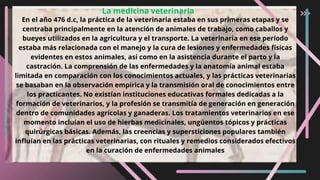 La medicina veterinaria
En el año 476 d.c, la práctica de la veterinaria estaba en sus primeras etapas y se
centraba principalmente en la atención de animales de trabajo, como caballos y
bueyes utilizados en la agricultura y el transporte. La veterinaria en ese período
estaba más relacionada con el manejo y la cura de lesiones y enfermedades físicas
evidentes en estos animales, así como en la asistencia durante el parto y la
castración. La comprensión de las enfermedades y la anatomía animal estaba
limitada en comparación con los conocimientos actuales, y las prácticas veterinarias
se basaban en la observación empírica y la transmisión oral de conocimientos entre
los practicantes. No existían instituciones educativas formales dedicadas a la
formación de veterinarios, y la profesión se transmitía de generación en generación
dentro de comunidades agrícolas y ganaderas. Los tratamientos veterinarios en ese
momento incluían el uso de hierbas medicinales, ungüentos tópicos y prácticas
quirúrgicas básicas. Además, las creencias y supersticiones populares también
influían en las prácticas veterinarias, con rituales y remedios considerados efectivos
en la curación de enfermedades animales
 