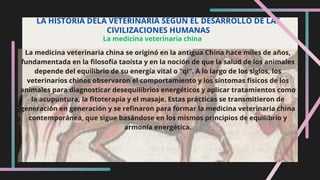 LA HISTORIA DELA VETERINARIA SEGUN EL DESARROLLO DE LAS
CIVILIZACIONES HUMANAS
La medicina veterinaria china
La medicina veterinaria china se originó en la antigua China hace miles de años,
fundamentada en la filosofía taoísta y en la noción de que la salud de los animales
depende del equilibrio de su energía vital o "qi". A lo largo de los siglos, los
veterinarios chinos observaron el comportamiento y los síntomas físicos de los
animales para diagnosticar desequilibrios energéticos y aplicar tratamientos como
la acupuntura, la fitoterapia y el masaje. Estas prácticas se transmitieron de
generación en generación y se refinaron para formar la medicina veterinaria china
contemporánea, que sigue basándose en los mismos principios de equilibrio y
armonía energética.
 