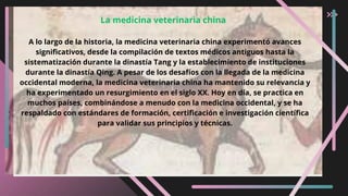 A lo largo de la historia, la medicina veterinaria china experimentó avances
significativos, desde la compilación de textos médicos antiguos hasta la
sistematización durante la dinastía Tang y la establecimiento de instituciones
durante la dinastía Qing. A pesar de los desafíos con la llegada de la medicina
occidental moderna, la medicina veterinaria china ha mantenido su relevancia y
ha experimentado un resurgimiento en el siglo XX. Hoy en día, se practica en
muchos países, combinándose a menudo con la medicina occidental, y se ha
respaldado con estándares de formación, certificación e investigación científica
para validar sus principios y técnicas.
La medicina veterinaria china
 