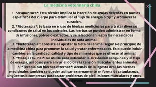 La medicina veterinaria china
1. *Acupuntura*: Esta técnica implica la inserción de agujas delgadas en puntos
específicos del cuerpo para estimular el flujo de energía o "qi" y promover la
curación.
2. *Fitoterapia*: Se basa en el uso de hierbas medicinales para tratar diversas
condiciones de salud en los animales. Las hierbas se pueden administrar en forma
de infusiones, polvos o extractos, y se seleccionan según las necesidades
individuales de cada animal.
3. *Dietoterapia*: Consiste en ajustar la dieta del animal según los principios de
la medicina china para promover la salud y tratar enfermedades. Esto puede incluir
cambios en la cantidad, calidad y tipo de alimentos que se ofrecen al animal.
4. *Masaje (Tui Na)*: Se utiliza para estimular la circulación sanguínea y el flujo
de energía, así como para aliviar el dolor y la tensión muscular en los animales.
5. *Terapia con hierbas externas*: Además de la ingesta oral, las hierbas
medicinales también se pueden aplicar externamente en forma de cataplasmas,
ungüentos o compresas para tratar problemas de piel, lesiones musculares y otros
trastornos.
 