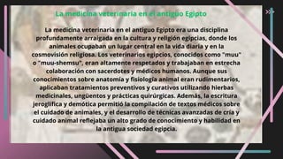 La medicina veterinaria en el antiguo Egipto era una disciplina
profundamente arraigada en la cultura y religión egipcias, donde los
animales ocupaban un lugar central en la vida diaria y en la
cosmovisión religiosa. Los veterinarios egipcios, conocidos como "muu"
o "muu-shemsu", eran altamente respetados y trabajaban en estrecha
colaboración con sacerdotes y médicos humanos. Aunque sus
conocimientos sobre anatomía y fisiología animal eran rudimentarios,
aplicaban tratamientos preventivos y curativos utilizando hierbas
medicinales, ungüentos y prácticas quirúrgicas. Además, la escritura
jeroglífica y demótica permitió la compilación de textos médicos sobre
el cuidado de animales, y el desarrollo de técnicas avanzadas de cría y
cuidado animal reflejaba un alto grado de conocimiento y habilidad en
la antigua sociedad egipcia.
La medicina veterinaria en el antiguo Egipto
 