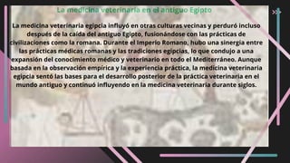 La medicina veterinaria en el antiguo Egipto
La medicina veterinaria egipcia influyó en otras culturas vecinas y perduró incluso
después de la caída del antiguo Egipto, fusionándose con las prácticas de
civilizaciones como la romana. Durante el Imperio Romano, hubo una sinergia entre
las prácticas médicas romanas y las tradiciones egipcias, lo que condujo a una
expansión del conocimiento médico y veterinario en todo el Mediterráneo. Aunque
basada en la observación empírica y la experiencia práctica, la medicina veterinaria
egipcia sentó las bases para el desarrollo posterior de la práctica veterinaria en el
mundo antiguo y continuó influyendo en la medicina veterinaria durante siglos.
 