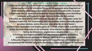 La medicina veterinaria en el antiguo Egipto
1.Observación clínica: Los veterinarios egipcios observaban cuidadosamente el
comportamiento y los síntomas físicos de los animales para diagnosticar
enfermedades. Esto incluía examinar la postura, la respiración, el pulso.
2.Exámenes físicos: Realizaban exámenes físicos detallados para identificar
cualquier anomalía en la apariencia o la función del animal.
3.Pruebas de laboratorio rudimentarias: Aunque no tan avanzadas como las
pruebas modernas, los veterinarios egipcios podrían haber realizado algunas
pruebas básicas, como examinar muestras de orina o heces.
4.Fitoterapia: Utilizaban una amplia gama de hierbas medicinales y plantas para
tratar diversas dolencias en los animales. Estas hierbas se administraban en
forma de infusiones, ungüentos o cataplasmas.
5.Prácticas quirúrgicas simples: Los veterinarios egipcios realizaban
procedimientos quirúrgicos básicos, como la sutura de heridas,
6.Rituales religiosos: En muchos casos, los tratamientos veterinarios se
acompañaban de rituales religiosos destinados a invocar la ayuda de los dioses.
 