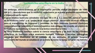 Sin embargo, adentrándonos en el interesante periodo védico (alrededor de 1500-
500 a.C.), descubrimos que la medicina veterinaria ya era una profesión consolidada
y respetada en la región
El gran médico Sushruta (alrededor del siglo VII o VI a. C.), conocido como el "padre
de la medicina india" y el "padre de la cirugía plástica", desarrolló técnicas médicas
para el tratamiento de humanos y animales. Su libro Sushruta Samhita (Sushruta
Compendium) se considera el texto ortopédico más antiguo del mundo, un clásico de
la medicina ayurvédica y la base de la práctica veterinaria india.
Su libro Shalihotra Samhita cubrió la ciencia veterinaria y se basó en los tratados
anteriores de Sushruta sobre anatomía humana, fisiología y técnicas quirúrgicas
utilizadas por Shalihotra en el cuidado de los animales. El primer hospital
veterinario del mundo se estableció en la India durante la época del gran rey Ashoka
La medicina veterinaria en la India
 