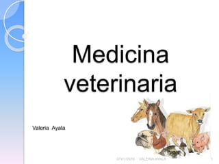 Medicina
veterinaria
Valeria Ayala
07/11/2018 VALERIA AYALA 1
 