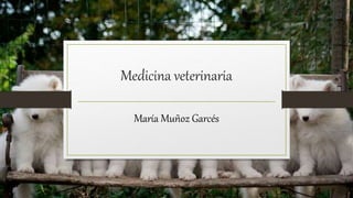Medicina veterinaria
María Muñoz Garcés
 
