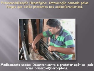 Medicamento usado: Desentoxicante e protetor epático pelo
nome comercial(mercepton).

 