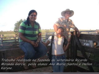 Medicina veterinária