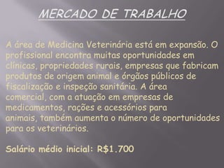 A área de Medicina Veterinária está em expansão. O
profissional encontra muitas oportunidades em
clínicas, propriedades rurais, empresas que fabricam
produtos de origem animal e órgãos públicos de
fiscalização e inspeção sanitária. A área
comercial, com a atuação em empresas de
medicamentos, rações e acessórios para
animais, também aumenta o número de oportunidades
para os veterinários.

Salário médio inicial: R$1.700

 