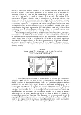 através do coto de um membro amputado de um animal experimental. Becker descobriu
que podia remover cirurgicamente o membro de um animal e medir as alterações nos
potenciais elétricos do coto nos dias subsequentes, durante o processo de cura e
regeneração. Ao estudar o complexo processo de regeneração dos tecidos, Becker
examinou as diferenças existentes entre os mecanismos de regeneração nas rãs e nas
salamandras. As rãs e as salamandras estão em estágios evolutivos diferentes; assim, as
salamandras podem regenerar completamente os membros amputados, ao passo que as rãs
não têm essa capacidade. As rãs parecem ter perdido esse potencial evolutivo em algum
lugar ao longo de sua ascensão genética pela árvore genealógica dos anfíbios. Becker estava
profundamente interessado nas pequenas diferenças elétricas entre as correntes de lesão
medidas nos cotos de salamandras, que podiam dar origem a novos membros, e nas partes
correspondentes das rãs, que não tinham a capacidade de fazer isso.
Becker amputou cirurgicamente os membros de salamandras e de rãs e, em seguida,
usou eletrodos para medir os potenciais elétricos no local de regeneração dos tecidos. As
rãs representaram um potencial elétrico positivo, o qual gradualmente, tomava-se neutro à
medida que o coto ia sarando. As salamandras, porém, depois de produzirem inicialmente
um potencial positivo semelhante ao das rãs, apresentaram uma reversão na polaridade e
geraram um potencial negativo. Esse potencial de lesão negativo voltou gradualmente a
tornar-se neutro ao cabo de um certo número de dias, à medida que a salamandra produzia
um novo membro.
Diagrama 8
MONITORAÇÃO DA CORRENTE DE LESÃO NUMA
AMPUTAÇÃO EXPERIMENTAL

A única diferença aparente entre as duas correntes de lesão era que a salamandra,
um animal, podia produzir um novo membro, apresentava uma alteração no potencial
elétrico, passando de positivo para negativo. Becker teve vontade de saber se a produção
artificial de uni potencial negativo através do coto da rã afetaria o resultado final. Ele fez
isto e, para a sua surpresa, a rã produziu um membro inteiramente novo!* A idéia de se
usar a eletro-estimulação para induzir a regeneração de membros ou órgãos é uma
concepção revolucionária. Não se pode dizer por enquanto se a estimulação elétrica afeta
primordialmente os mecanismos de regeneração celulares ou se libera o potencial
holográfico do corpo etérico. Becker tentou utilizar as técnicas de Kirlian para fotografar o
correspondente animal do Efeito da Folha Fantasma em membros animais depois da
amputação. Infelizmente, suas tentativas nessa área até hoje não foram bem-sucedidas. As
possíveis razões para isto serão examinadas mais adiante neste livro, quando examinarmos
com mais detalhes as implicações dos sistemas fotográficos Kirlian.

 