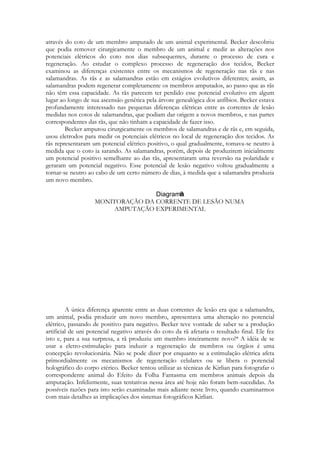 através do coto de um membro amputado de um animal experimental. Becker descobriu
que podia remover cirurgicamente o membro de um animal e medir as alterações nos
potenciais elétricos do coto nos dias subsequentes, durante o processo de cura e
regeneração. Ao estudar o complexo processo de regeneração dos tecidos, Becker
examinou as diferenças existentes entre os mecanismos de regeneração nas rãs e nas
salamandras. As rãs e as salamandras estão em estágios evolutivos diferentes; assim, as
salamandras podem regenerar completamente os membros amputados, ao passo que as rãs
não têm essa capacidade. As rãs parecem ter perdido esse potencial evolutivo em algum
lugar ao longo de sua ascensão genética pela árvore genealógica dos anfíbios. Becker estava
profundamente interessado nas pequenas diferenças elétricas entre as correntes de lesão
medidas nos cotos de salamandras, que podiam dar origem a novos membros, e nas partes
correspondentes das rãs, que não tinham a capacidade de fazer isso.
Becker amputou cirurgicamente os membros de salamandras e de rãs e, em seguida,
usou eletrodos para medir os potenciais elétricos no local de regeneração dos tecidos. As
rãs representaram um potencial elétrico positivo, o qual gradualmente, tomava-se neutro à
medida que o coto ia sarando. As salamandras, porém, depois de produzirem inicialmente
um potencial positivo semelhante ao das rãs, apresentaram uma reversão na polaridade e
geraram um potencial negativo. Esse potencial de lesão negativo voltou gradualmente a
tornar-se neutro ao cabo de um certo número de dias, à medida que a salamandra produzia
um novo membro.
MONITORAÇÃO DA CORRENTE DE LESÃO NUMA
AMPUTAÇÃO EXPERIMENTAL

A única diferença aparente entre as duas correntes de lesão era que a salamandra,
um animal, podia produzir um novo membro, apresentava uma alteração no potencial
elétrico, passando de positivo para negativo. Becker teve vontade de saber se a produção
artificial de uni potencial negativo através do coto da rã afetaria o resultado final. Ele fez
isto e, para a sua surpresa, a rã produziu um membro inteiramente novo!* A idéia de se
usar a eletro-estimulação para induzir a regeneração de membros ou órgãos é uma
concepção revolucionária. Não se pode dizer por enquanto se a estimulação elétrica afeta
primordialmente os mecanismos de regeneração celulares ou se libera o potencial
holográfico do corpo etérico. Becker tentou utilizar as técnicas de Kirlian para fotografar o
correspondente animal do Efeito da Folha Fantasma em membros animais depois da
amputação. Infelizmente, suas tentativas nessa área até hoje não foram bem-sucedidas. As
possíveis razões para isto serão examinadas mais adiante neste livro, quando examinarmos
com mais detalhes as implicações dos sistemas fotográficos Kirlian.

 
