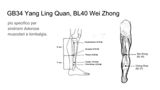 ST38 Tiao Kou, GV14 Da Zhui, GB21 Jian Jing
Azione specifica su cervicalgia, blocco muscolare cervicale, spalla dolorosa o...