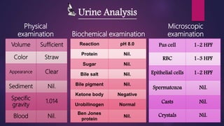 Pleural Effusion Pptx 