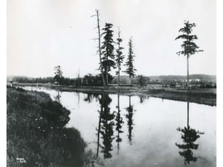 Remembering Medicine Creek