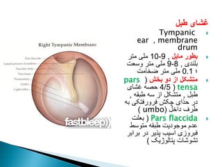‫طبل‬ ‫غشای‬

Tympanic
membrane
,
ear
drum

‫بطو‬
‫ر‬
‫مایل‬
,
9
-
10
‫متر‬ ‫ملی‬
‫بلندی‬
,
8
-
9
‫وسعت‬ ‫متر‬ ‫ملی‬
‫؛‬
0.1
‫ضخامت‬ ‫متر‬ ‫ملی‬

‫بخش‬ ‫دو‬ ‫از‬ ‫متشکل‬
(
pars
tensa
(
4/5
‫غشای‬ ‫حصه‬
‫طبل‬
,
‫طبقه‬ ‫سه‬ ‫از‬ ‫متشکل‬
,
‫به‬ ‫فرورفتکی‬ ‫چکش‬ ‫حذای‬ ‫در‬
‫داخل‬ ‫طرف‬
(
umbo
)

Pars flaccida
(
‫بعلت‬
‫متوسط‬ ‫طبقه‬ ‫موجودیت‬ ‫عدم‬
‫برابر‬ ‫در‬ ‫پذیر‬ ‫اسیب‬ ‫فبروزی‬
‫پتالوژیک‬ ‫تشوشات‬
)
 