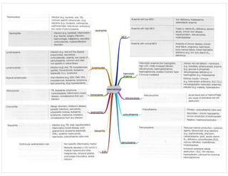 haematology
MCV
haemolytic
anaemia
polycythaemia
pancytopenia
neutrophils
lymphocytes
monocytosis
eosinophilia
basophilia
reticulocytosis
ESR
 