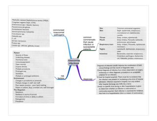 Medicine in Mind Maps