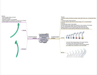 Medicine in Mind Maps