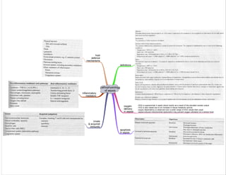 Medicine in Mind Maps
