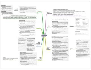 Medicine in Mind Maps