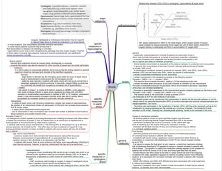 Medicine in Mind Maps