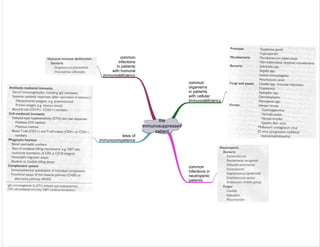 Medicine in Mind Maps