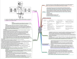 Medicine in Mind Maps