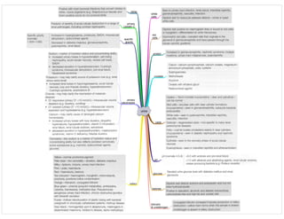 Medicine in Mind Maps