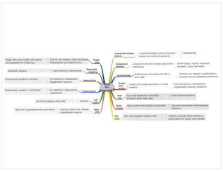 blood
film
abnormalities
leukoerythroblastic
picture
leukaemoid
reaction
acanthocytes
Howell
Jolly
bodies
Auer
rods
Heinz
bodies
Burr
cells
Target
cells
Basophillic
stippling
Anisocytosis
Poikilocytosis
Left
shift
Right
shift
 