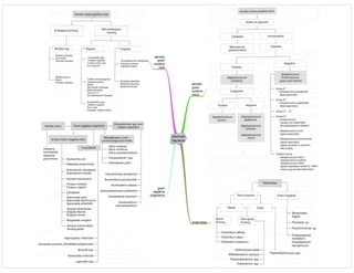 common
bacteria
aerobic
gram
positive
cocci
aerobic
gram
positive
rods
gram
negative
organisms
anaerobes
 