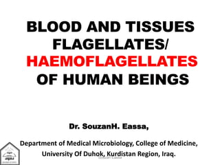 BLOOD AND TISSUES
FLAGELLATES/
OF HUMAN BEINGS
HAEMOFLAGELLATES
Dr. SouzanH. Eassa,
Department of Medical Microbiology, College of Medicine,
University Of Duhok, Kurdistan Region, Iraq.Souzan Eassa
 