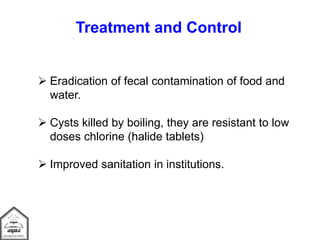 Treatment and Control
 Eradication of fecal contamination of food and
water.
 Cysts killed by boiling, they are resistant to low
doses chlorine (halide tablets)
 Improved sanitation in institutions.
 