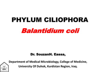 PHYLUM CILIOPHORA
Balantidium coli
Dr. SouzanH. Eassa,
Department of Medical Microbiology, College of Medicine,
University Of Duhok, Kurdistan Region, Iraq.
 