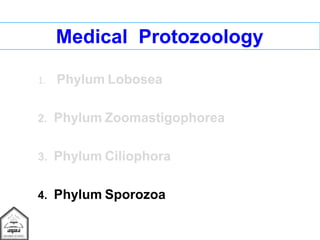 Medical Protozoology
1. Phylum Lobosea
2. Phylum Zoomastigophorea
3. Phylum Ciliophora
4. Phylum Sporozoa
 